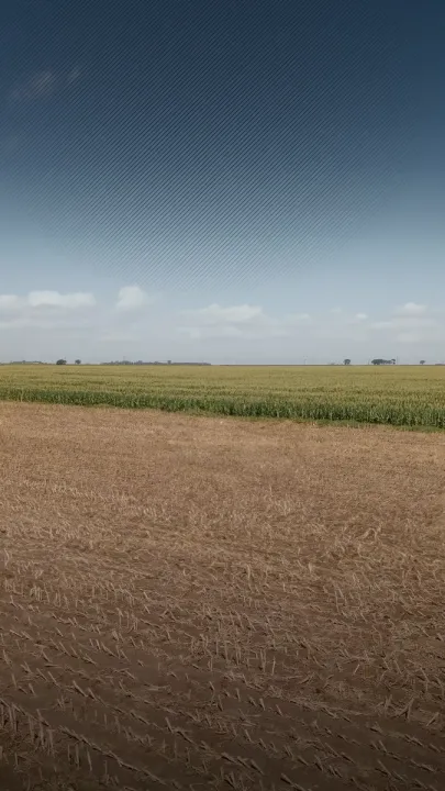 Cargando video