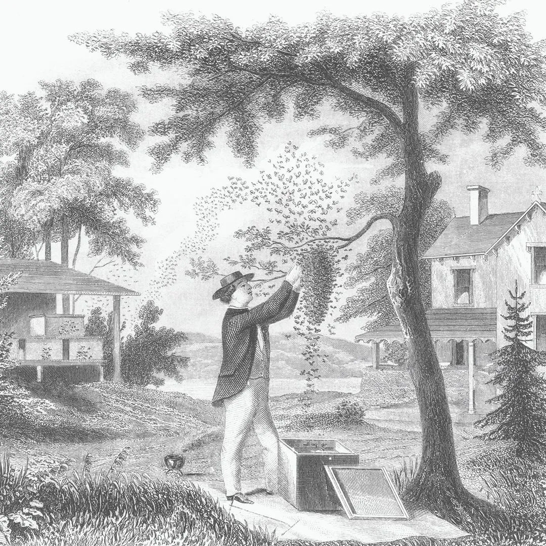 Image description